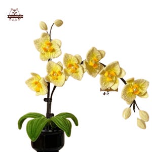 May include: A handcrafted yellow orchid plant with a black pot. The orchid features delicate yellow petals with a bright yellow center and a pearl accent. The green leaves are a vibrant contrast to the yellow flowers. The plant is a decorative item.