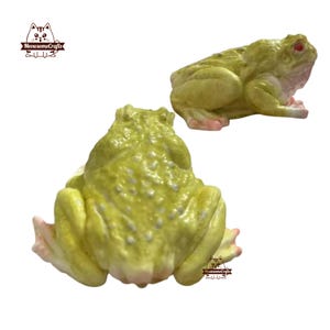 Frog Squishy Squeezable Stress Relief Sensory Taba Squishy Fidget Toy