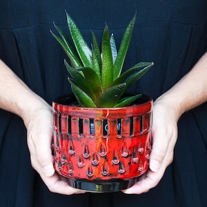Puede incluir: Una planta suculenta en una maceta de cerámica roja con base negra. La maceta tiene un diseño geométrico con recortes y puntos en relieve.