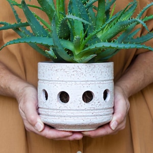 Puede incluir: Una maceta de cerámica blanca con un acabado texturizado y agujeros de drenaje. La maceta contiene una planta suculenta verde.