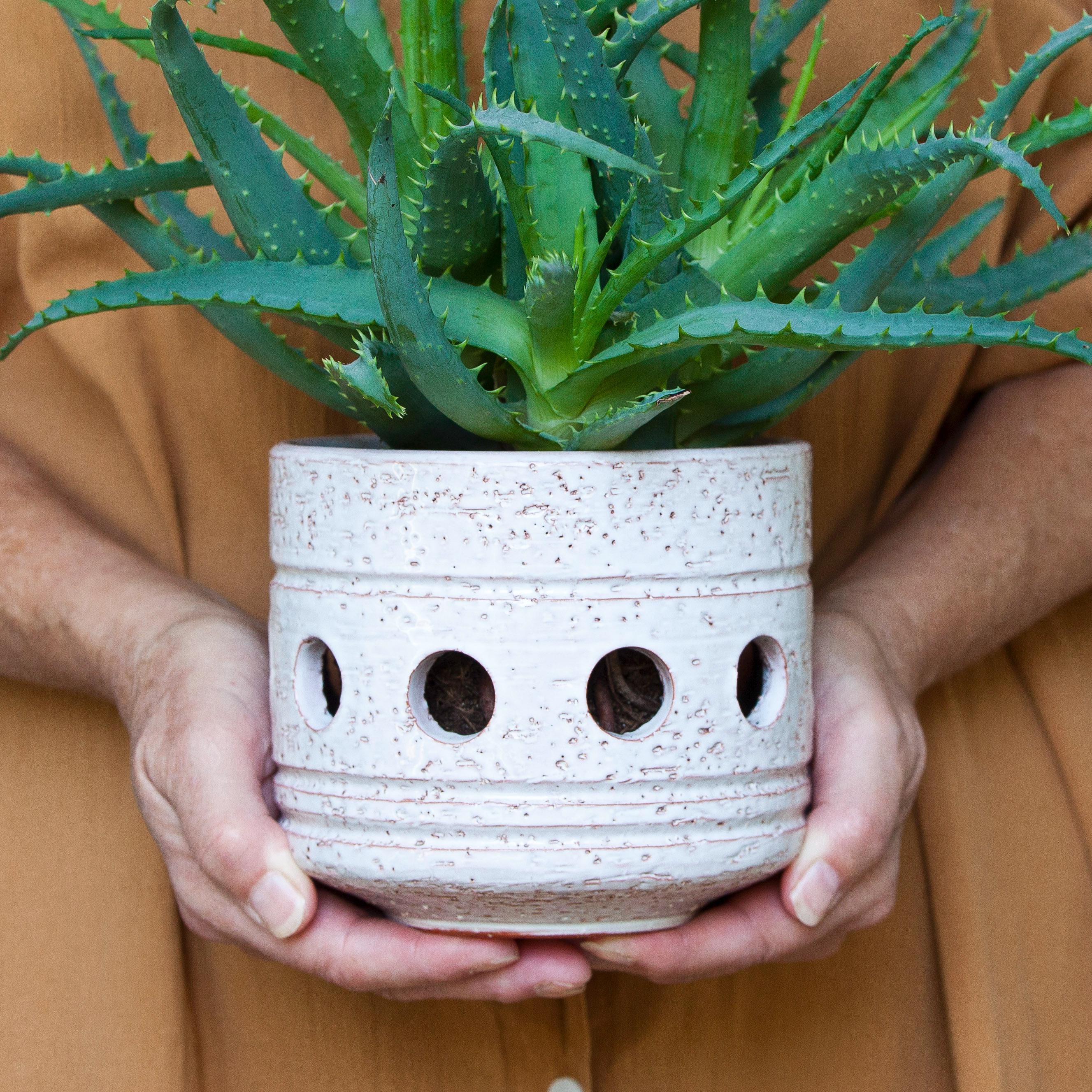 Paula Von Freymann - Etsy