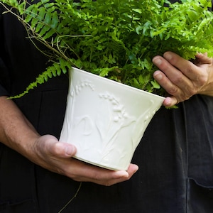 Può includere: Vaso in ceramica bianca con un design a rilievo di mughetto. Una pianta di felce verde sta crescendo nel vaso.