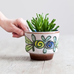 May include: A green succulent plant in a white ceramic planter with a brown base. The planter has a colorful design with green, blue, and yellow swirls.