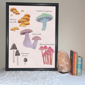 Mushroom Print