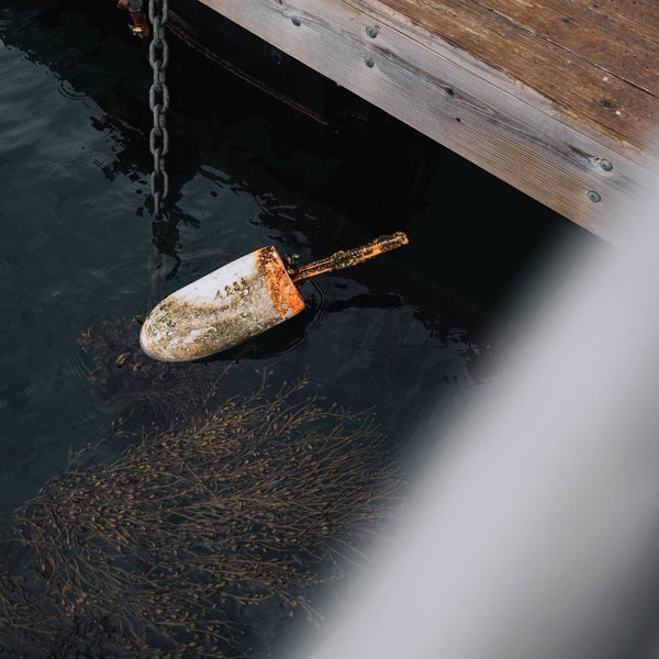 Northeast Harbor Buoy