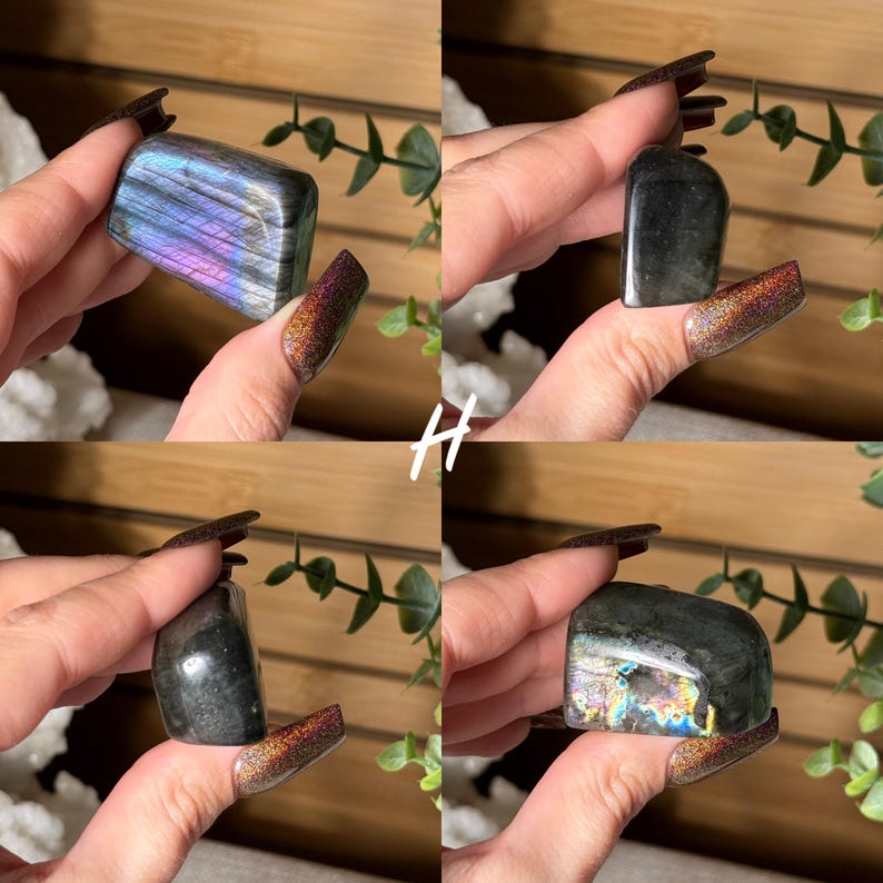 May include: Four images of polished labradorite crystals. The crystals display a range of colors, including blues, purples, and iridescent flashes. The crystals are held in a hand, showcasing their shape and natural beauty. The background is a wooden surface with greenery.