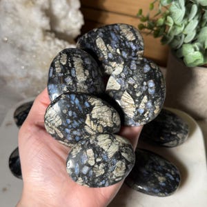 May include: A collection of polished stones with a unique speckled pattern. The stones feature a mix of dark blue, gray, and white colors, creating a striking contrast. The smooth, rounded shapes suggest they are tumbled or naturally formed. These stones are ideal for collectors or decorative use.