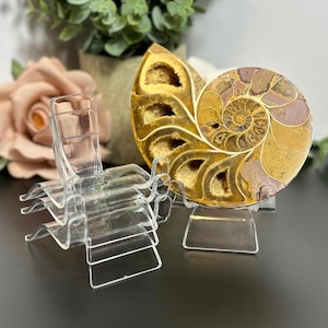 Heart Stand Crystal Holder Stand for Crystal Display Large Acrylic Display Stand for Minerals Crystals Fossils Coins and Odd Shaped Items