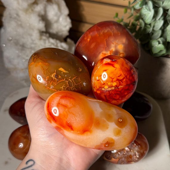 Carnelian Crystal Palm Stone Pick Your Own Carnelian Palm Stone Crystal for Healing Motivation Meditation Stone and Spiritual Crystal Gift