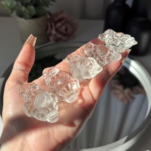 Clear Quartz Money Toad Pick Your Own Crystal Carved Money Toad Lucky Frog Carving High Quality Clear Quartz Crystal for Prosperity