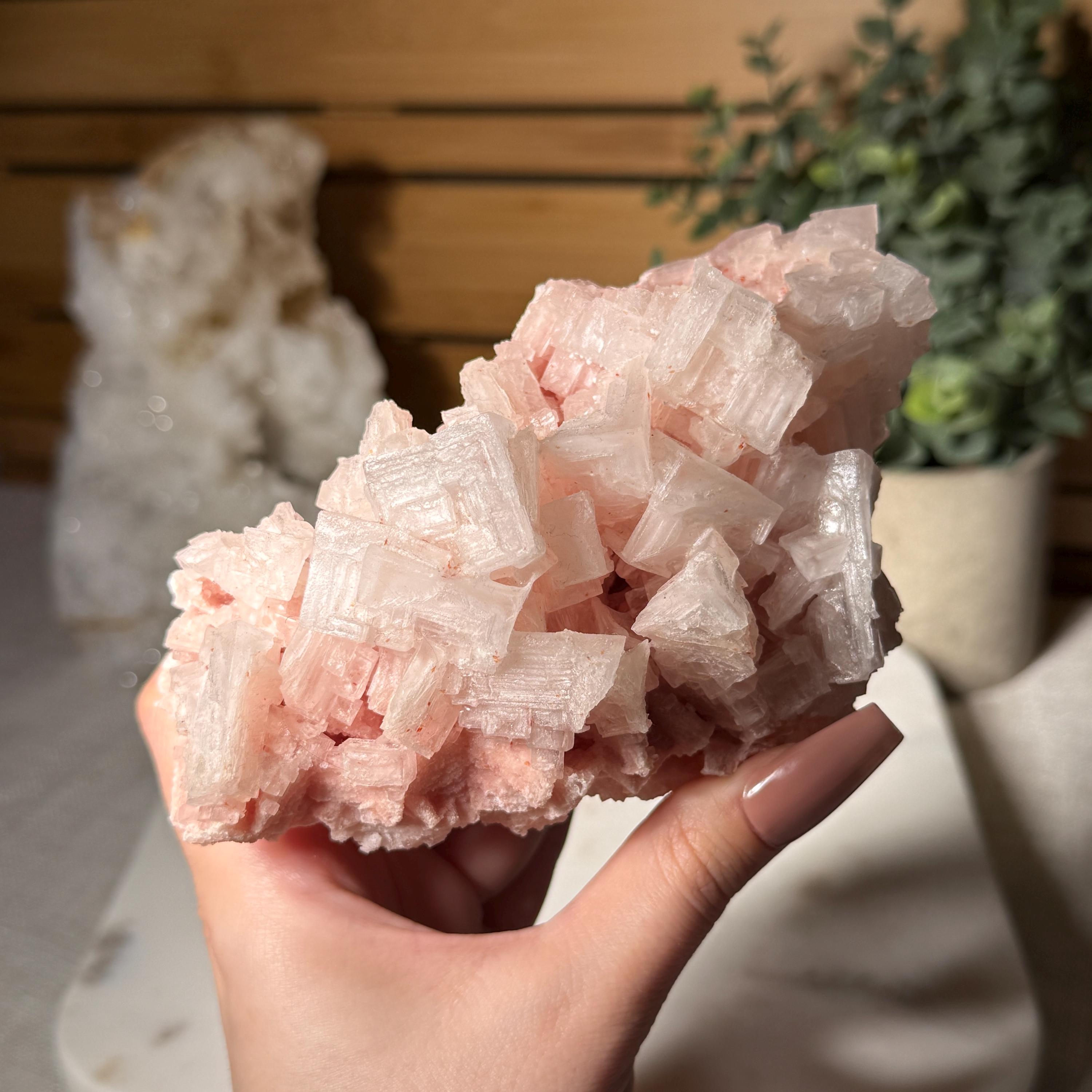 Large Pink Halite Cluster Raw Mineral Specimen from Searles Lake California for Heart Chakra Self Love Emotional Healing and Energy Clearing