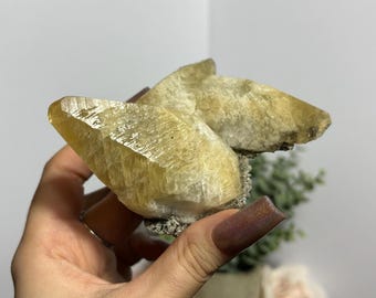 Sweetwater Mine Dogtooth Calcite Missouri Golden Calcite Crystal Scalenohedral Cluster Mineral Specimen for Crystal Lover Mineral Collector