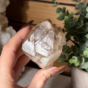 May include: A clear, light brown crystal cluster with multiple facets. The crystal is held in a hand, with green foliage in the background. The crystal's surface reflects light, showcasing its natural structure.