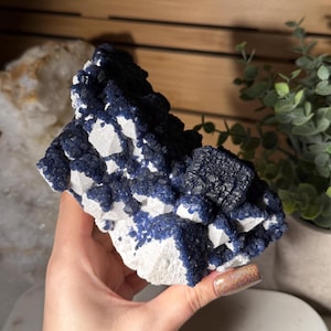 May include: A natural mineral specimen featuring a striking contrast of deep blue and white crystalline structures. The blue crystals are clustered, creating a textured surface against the white base. This unique piece is a beautiful example of natural geology.