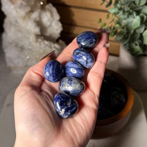 K&ouml;nnte beinhalten: Eine Hand h&auml;lt mehrere polierte Sodalith-Steine. Die Steine sind oval und weisen eine tiefblaue Farbe mit wei&szlig;en und grauen Marmorierungen auf. Die Steine sind glatt und reflektierend, mit einem nat&uuml;rlichen, organischen Aussehen. Der Hintergrund umfasst eine Holzschale und Gr&uuml;nzeug.
