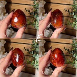 Puede incluir: Cuatro im&aacute;genes de un huevo de cornalina pulido. Los huevos son de un color rojo-anaranjado intenso con patrones y translucidez variables. Los huevos se sostienen en una mano, con un fondo de vegetaci&oacute;n y cristales blancos.