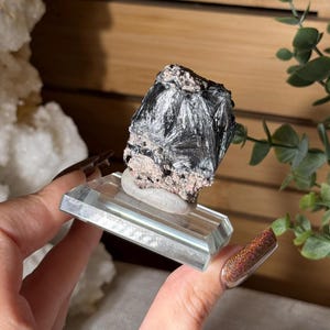 May include: A black and silver mineral specimen with a crystalline structure, mounted on a clear rectangular display stand. The mineral sits on a small, white, rounded base. The specimen has a pinkish-beige matrix.