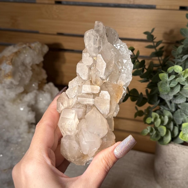 Elestial Smoky Quartz Crystal Cluster Raw Smoky Quartz Cluster Multi Terminated Smoky Quartz Mineral Specimen for Rock Lover Collection