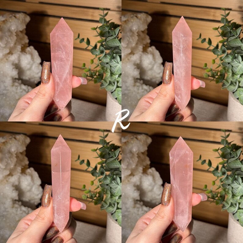 May include: Four rose quartz crystal points are displayed. Each crystal is a pale pink color and has a pointed top. The crystals are held in front of a background of greenery and white crystals.