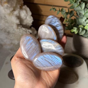 May include: A collection of polished, oval-shaped moonstones. The stones have a pearly white base color with iridescent blue flashes. The stones are held in a hand, with a wooden background and a potted plant visible in the background.