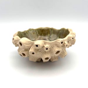 Op de afbeelding: Een beige keramische kom met een textuur, poreuze buitenkant, die op koraal lijkt. De kom heeft een afgeronde vorm met talrijke kleine gaatjes en een enigszins ongelijke rand. De binnenkant is groen en beige.