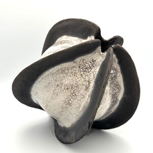 Witte Crackle Raku Seed Pod, handgemaakt in Cornwall, Verenigd Koninkrijk