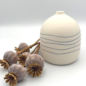 Könnte beinhalten: Eine cremefarbene Keramikvase mit blauen horizontalen Linien. Getrocknete Samenkapseln mit braunen Stielen und strukturierten Samenkapselköpfen sind neben der Vase angeordnet. Die Vase hat eine abgerundete Form.