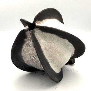 May include: A ceramic vase with an unusual, abstract form. It has a striking contrast of black and white, with a textured, crackled white interior and a bold black outline. The design is modern and sculptural, suitable for home decor.