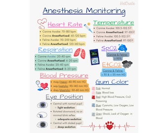 Pôster de Monitoramento da Anestesia Veterinária | Anotações para Técnicos/Enfermeiros Veterinários