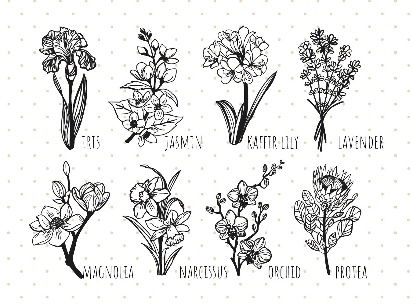 Flowers Bundle Svg floral Svg Png Flower Aplhabet Svg Flower flowers-bundle-svg-floral-svg-png-flower-aplhabet-svg-flower