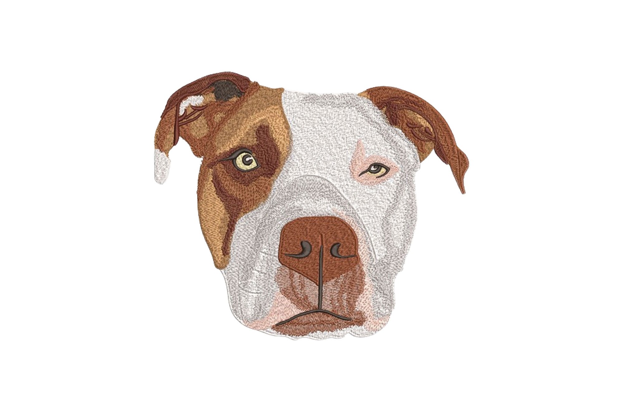 Grey White Pitbull UK