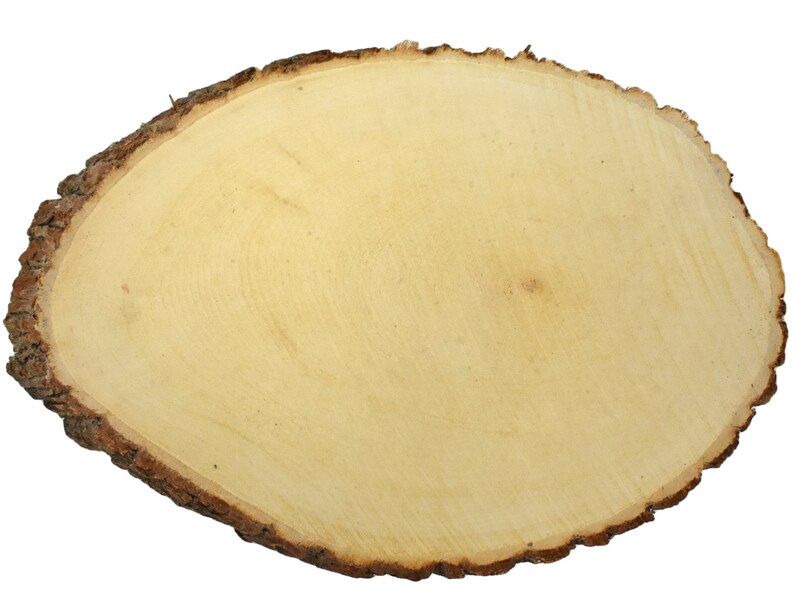 May include: Oval-shaped wooden slab with a light tan center and a dark brown, textured bark edge. The wood grain is visible, showing concentric rings. This natural wood slice is suitable for various craft and decorative projects.