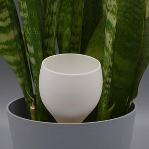 Puede incluir: Una taza de cerámica blanca en forma de huevo se encuentra dentro de una maceta gris llena de plantas de serpiente verdes. Las hojas tienen un patrón distintivo de rayas verdes claras y oscuras. La maceta tiene un diseño cilíndrico simple.