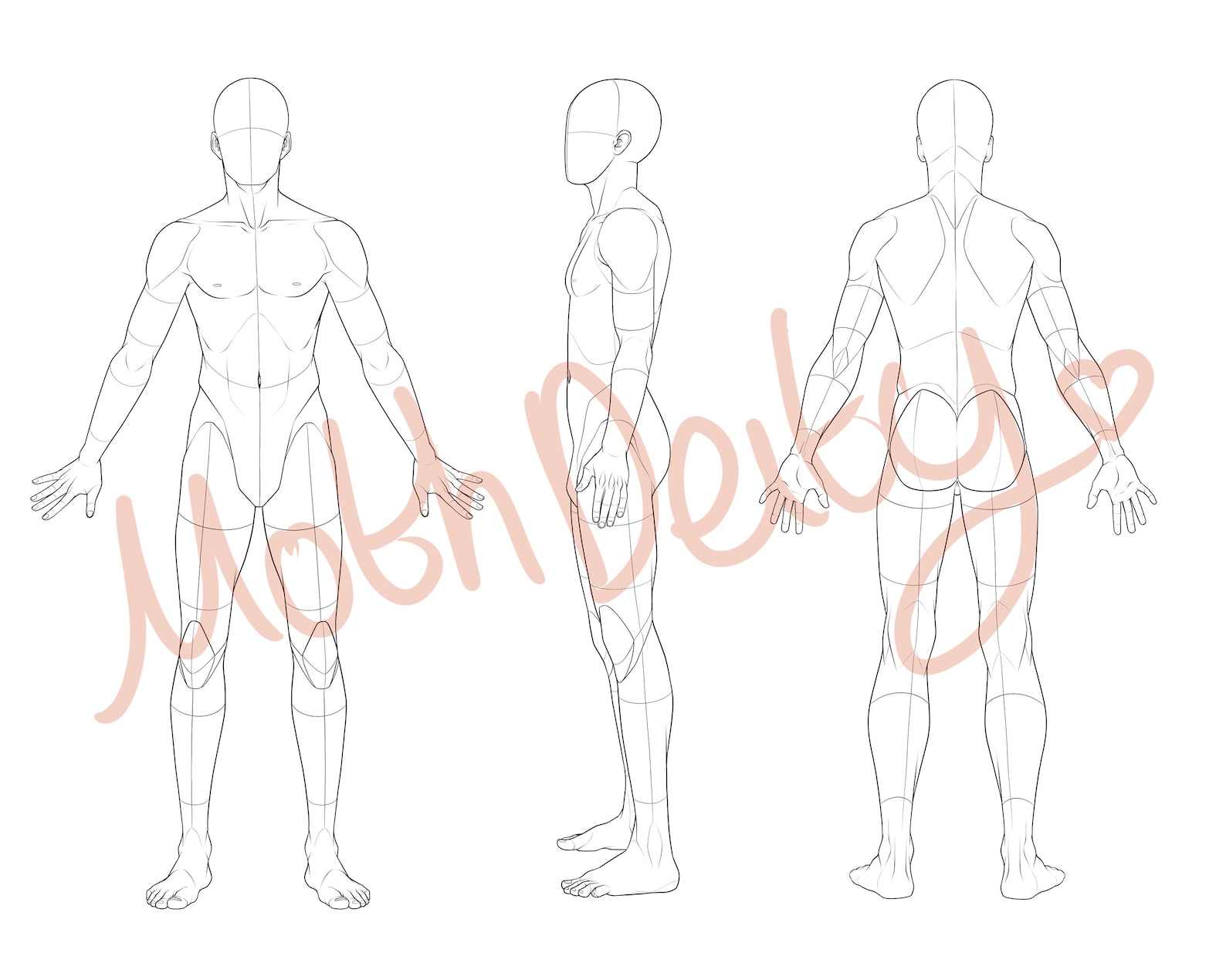 Character Reference Sheet Base Template Male and Female 6 Stamps + .png ...