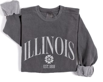 Illinois Sweatshirt, Unisex Crewneck Sweater, Home Pride, Midwest Trip, Cute Travel Souvenir
