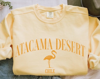 Atacama Desert Flamingo Sweatshirt | Desert Travel Graphic