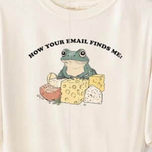 Op de afbeelding: Een crèmekleurig T-shirt met een afbeelding van een groene kikker die op een stapel kaas zit. De tekst "How your email finds me!" is boven de kikker gedrukt. De tekst "An original design by FairlyStupidShirts" is onderaan het T-shirt gedrukt.
