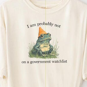 Op de afbeelding: Crèmekleurig T-shirt met een illustratie van een kikker met een kegelhoed, omringd door gras. De tekst luidt: "Ik sta waarschijnlijk niet op een overheidslijst." Het shirt is een origineel ontwerp van Fairly Stupid Shirts.