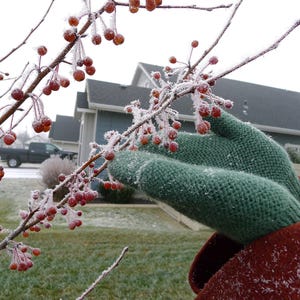 Knitted women&#39;s mittens winter knitted mittens, Handmade Knitted Wool mittens