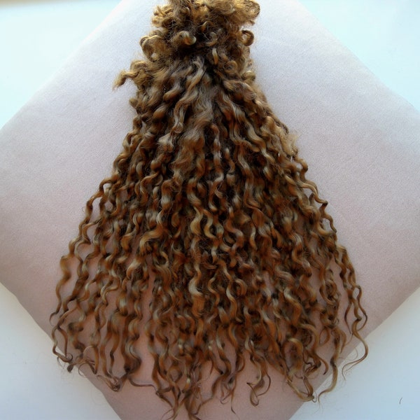 1oz Teeswater locks are hazelnut  color 11-12 in long, soft wool hand dyed, Doll hair, Art doll, Blythe, BJD