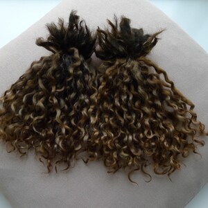 0.63oz(18g)Teeswater locks are shades of brown color  6-7in long, soft wool hand dyed, Doll hair, Art doll, Blythe, BJD doll