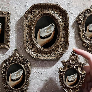 May include: Five ornate gold frames with a black background and a hand holding an oyster with two pearls inside. The frames are all different sizes and shapes.