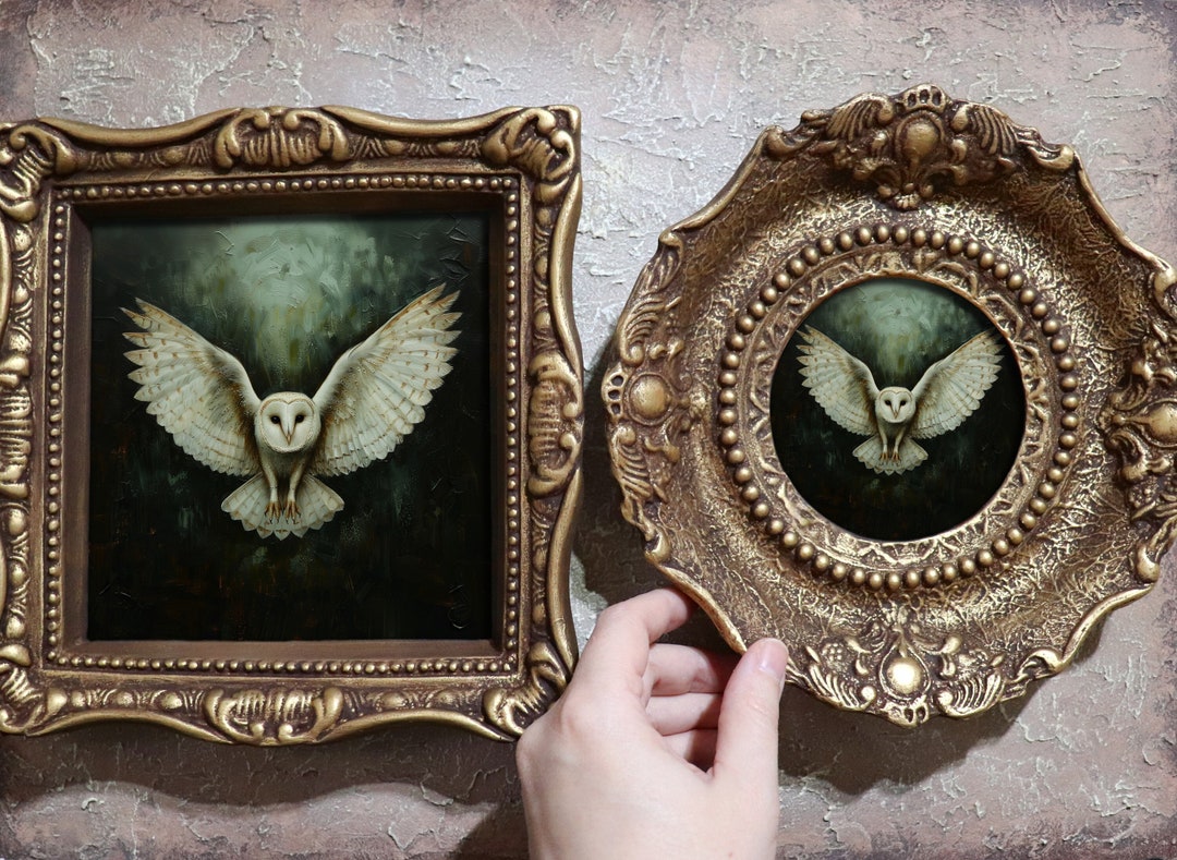 Barn Owl Wall Art White Vintage Poster Framed Snowy Owl Nature Print ...