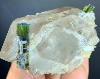 Green Cap Tourmaline Crystal on Quartz with Albite From Skardu Pakistan- 65 Gram