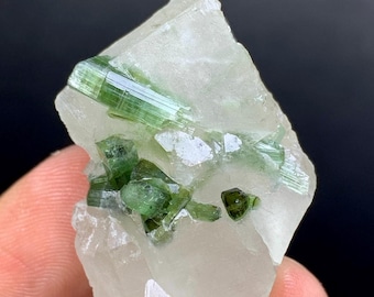 19.5 CTS ブルー/グリーントルマリンスライス結晶標本、ブラジル