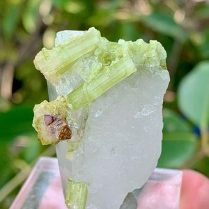 Puede incluir: Un cristal de cuarzo transparente con cristales verdes y marrones unidos. El cuarzo es translúcido y tiene una superficie rugosa. Los cristales verdes son largos y delgados, mientras que los cristales marrones son más pequeños y redondeados.