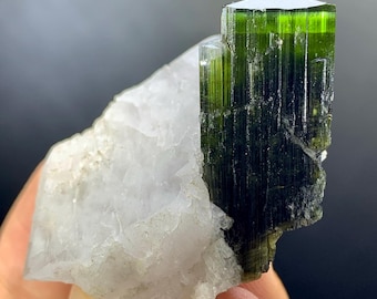 Green Cap Tourmaline Crystal Specimen: Skardu Pakistan, 26 Grams