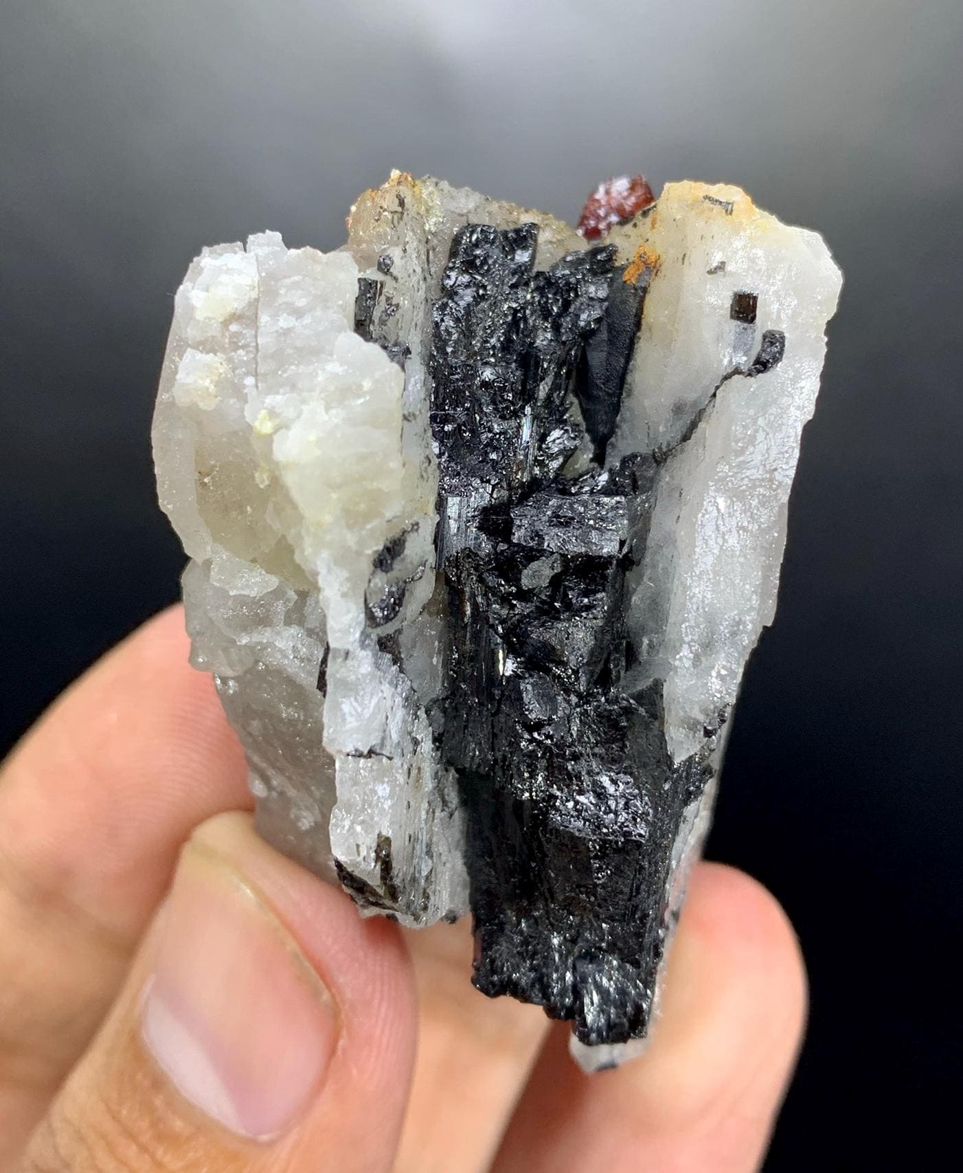 パキスタンのスカルドゥ産、クォーツとトルマリンにレッドガーネット