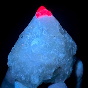 May include: A glowing, crystalline mineral specimen with a bright red tip and a blue-white body. The rock is held against a black background, highlighting the fluorescent colors. The mineral's surface is rough and textured.