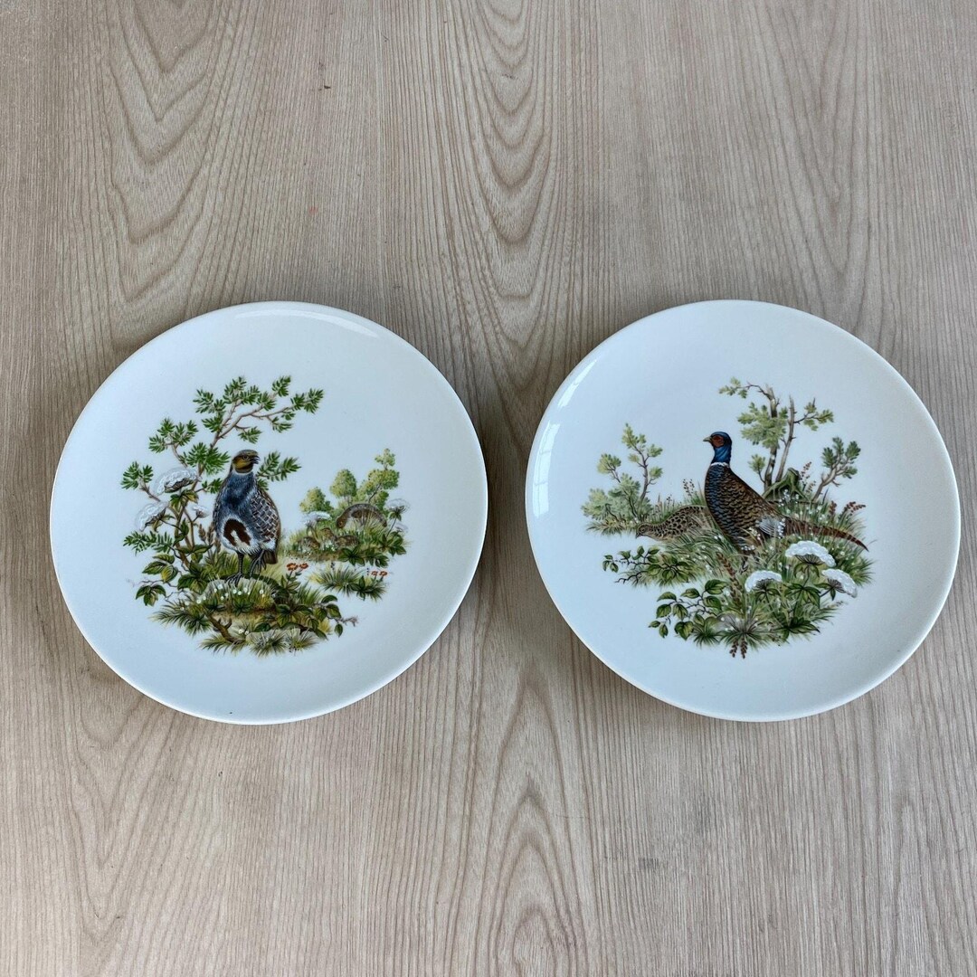 VTG Schumann Arzberg Bavaria Bird Plates Set of 2 E&R Golden Crown 7.5 ...